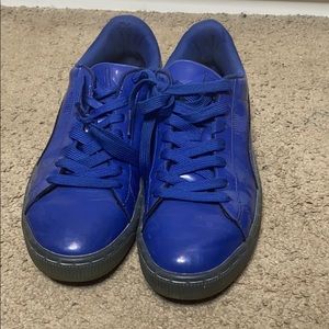 Blue shiny pumas